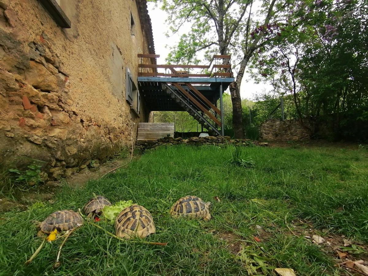 Gite Du Fassac Saint-Julien-du-Puy 외부 사진
